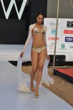Model walk the ramp for Sounia Gohil Show at IRFW 2012 Day 2 in Goa on 29th Nov 2012 (3).JPG